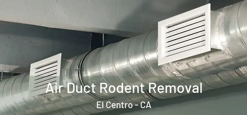  Air Duct Rodent Removal El Centro - CA