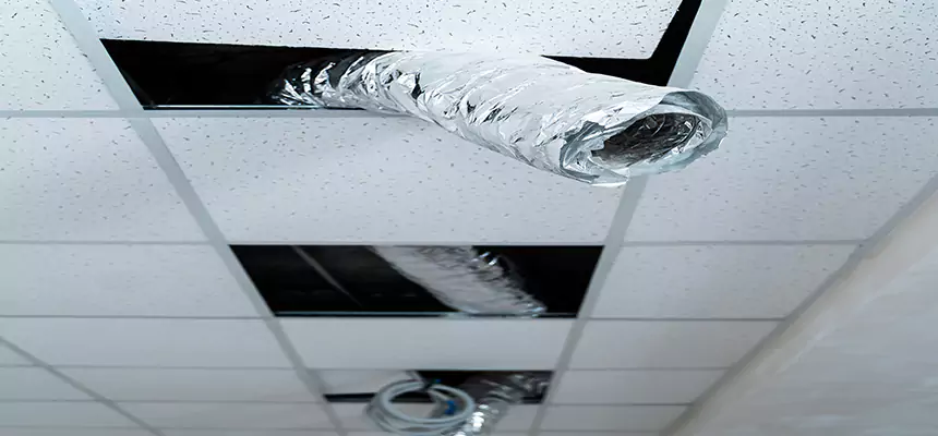 Affordable HVAC Sanitizing After Pest Removal in El Centro