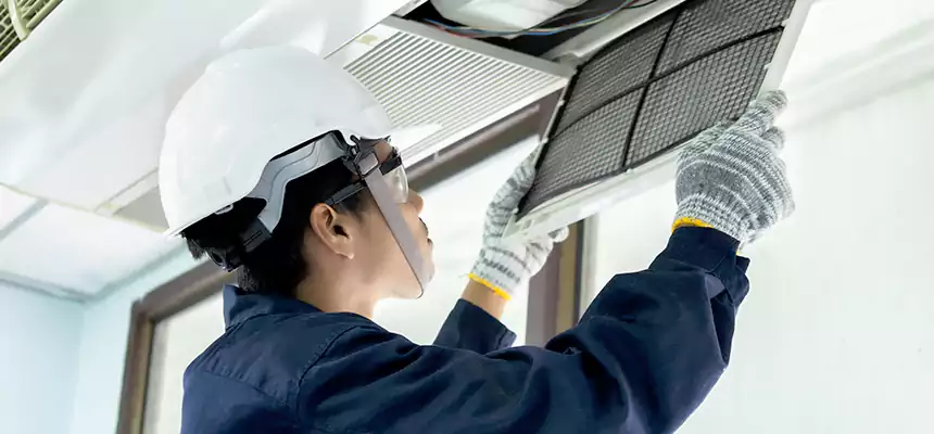 Our Mold & Mildew Removal from Air Ducts Services in El Centro, CA