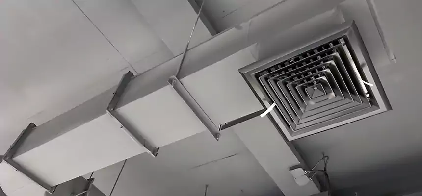 Our Pest Removal From Ducts Services in El Centro, CA