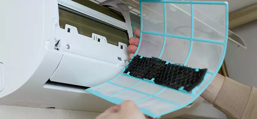 Gentle Ductwork Odor-Control Pet Dander Duct Cleaning in El Centro, CA