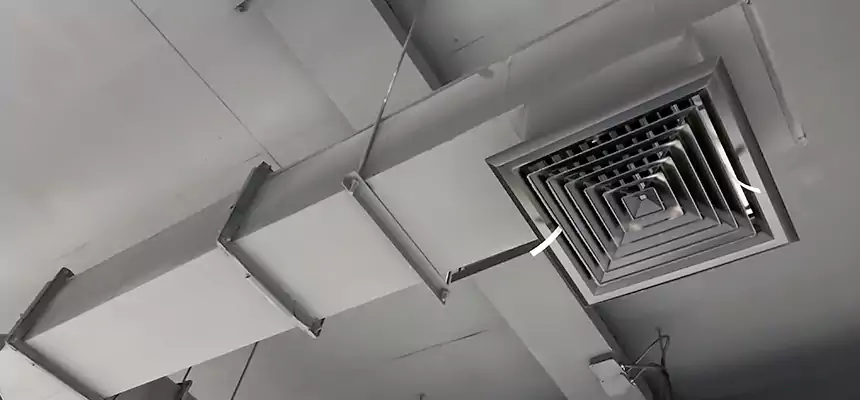 Our Rodent Droppings In Vents Services in El Centro, CA