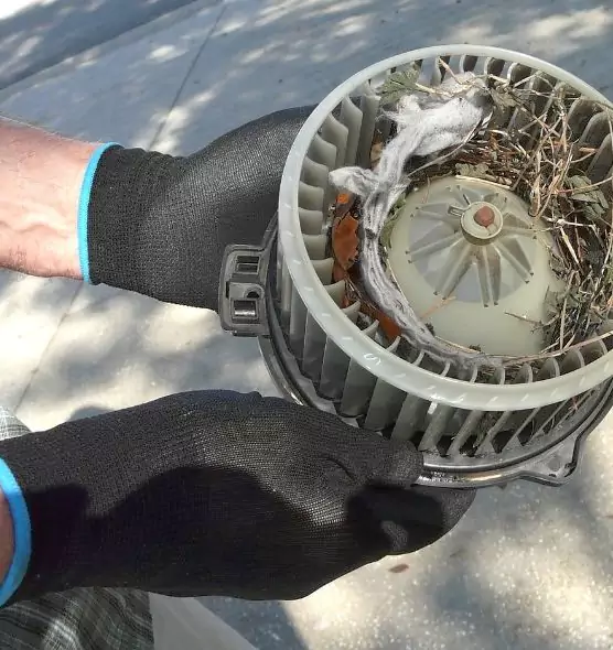 About Air Duct Mice Removal in El Centro, CA