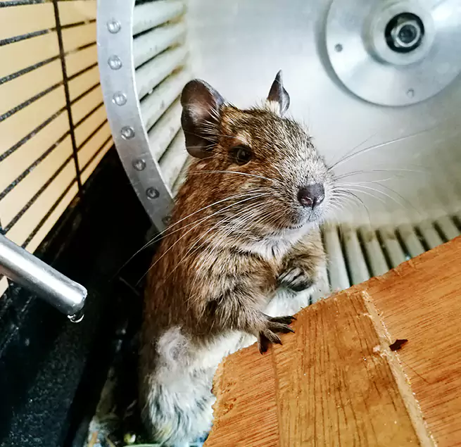 Why Homeowners & Businesses Trust Us El Centro, CA?