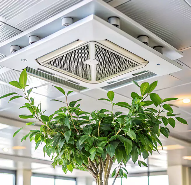 Why Homeowners & Businesses Trust Us in El Centro, CA